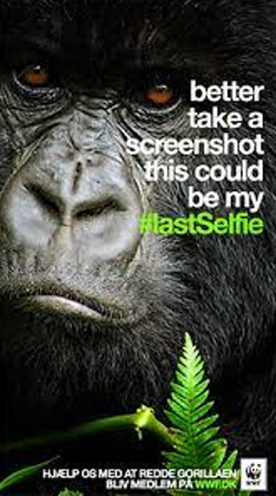 You can use emotional marketing in your social media content creation strategy to speak to your audience's emotions | Image: WWF