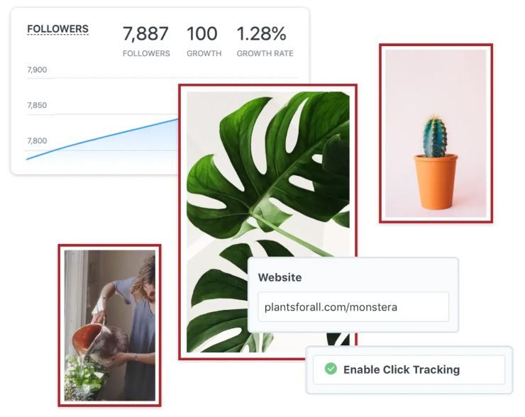 Later has a built-in Pinterest performance tracking tool